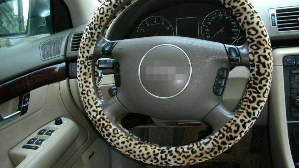 天凉了，给方向盘戴个套？