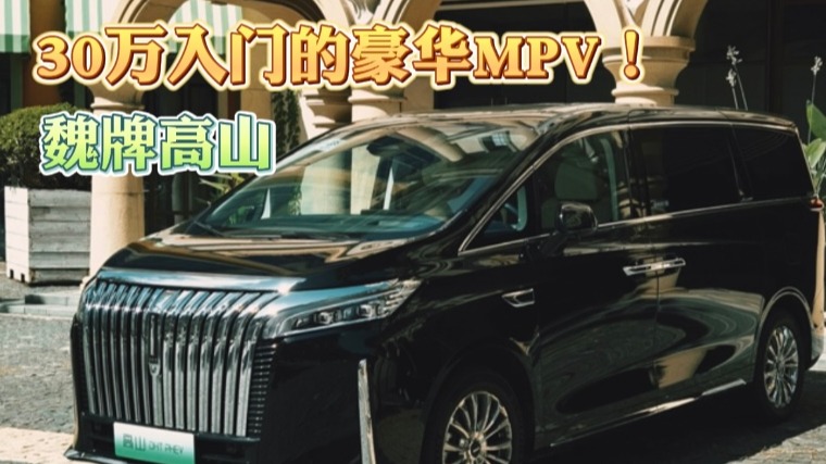 魏牌高山 30万入门的豪华MPV！
