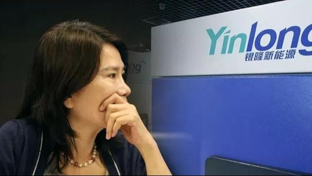 铁娘子董明珠造车梦碎？“国产埃尔法”停产