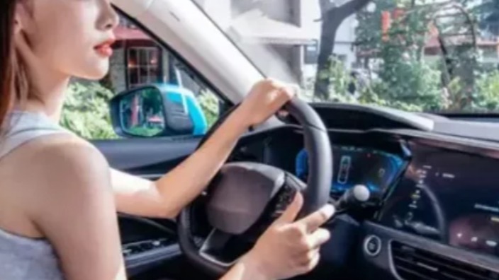 秀才遇上兵，开车少了“康”，有理说不清