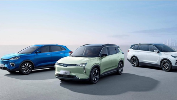 威马爆梗，慌的怕是其他造车新势力