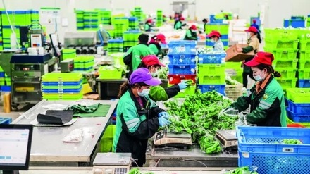 此轮疫情之后，老百姓还会买车吗？
