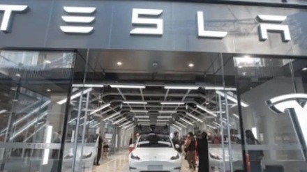 特斯拉的价格就像菜市场的猪肉涨跌不定