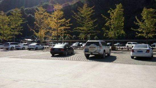 网红降温神器5秒结冰？大热天车里怎么降温最有效