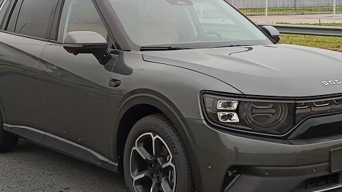 自游家，“复活”？