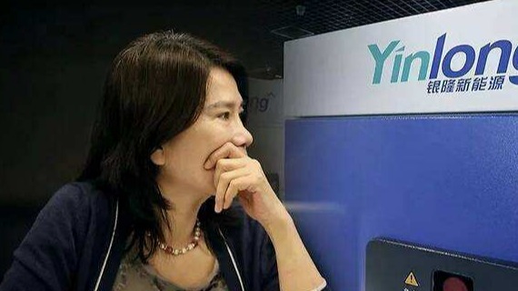 董明珠卸任银隆新能源董事 目前仍为第二大股东