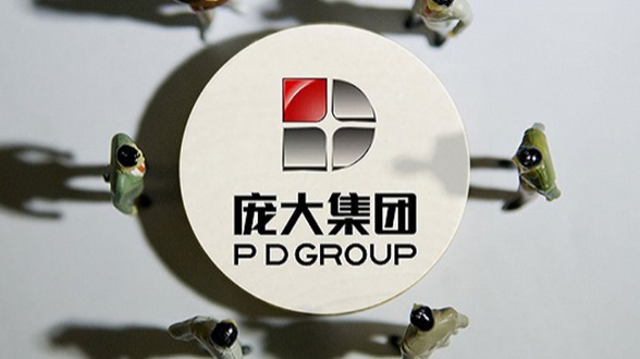 庞大集团兵行险招 重组完成申请解除退市风险警示