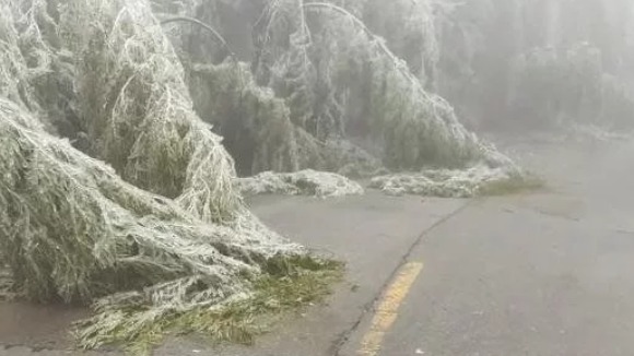 冬天开车跑高速，注意这两点，老司机经验之谈，关键时刻会很有用