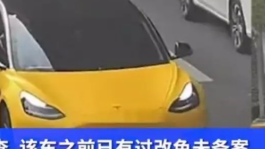 车身贴满“向日葵”，上海一车主被罚500元！民警：不是第一次