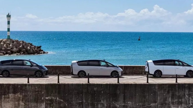 2024，新势力生存法则