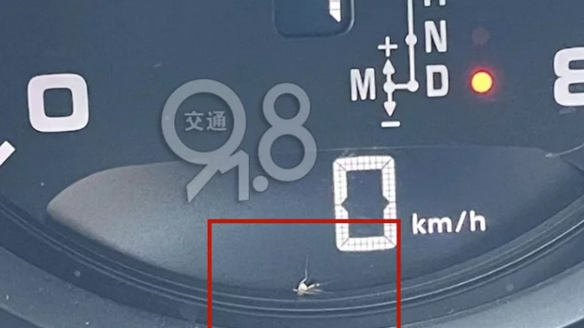 百万豪车内惊现一条“细腿”！杭州男车主想破脑袋也要…