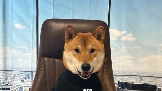 马斯克任命爱犬担任"推特CEO"？特斯拉接班人有着落了