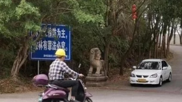 教练车注意:不定时上路查违!规定路线将每年更新