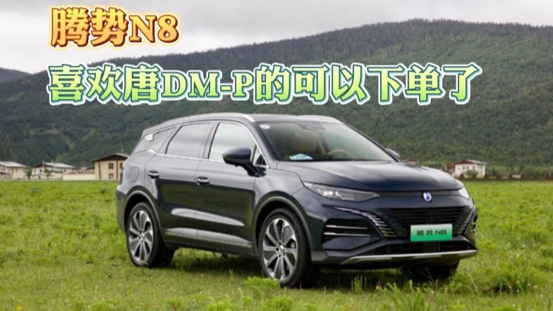 腾势N8：喜欢唐DM-P的可以下单了