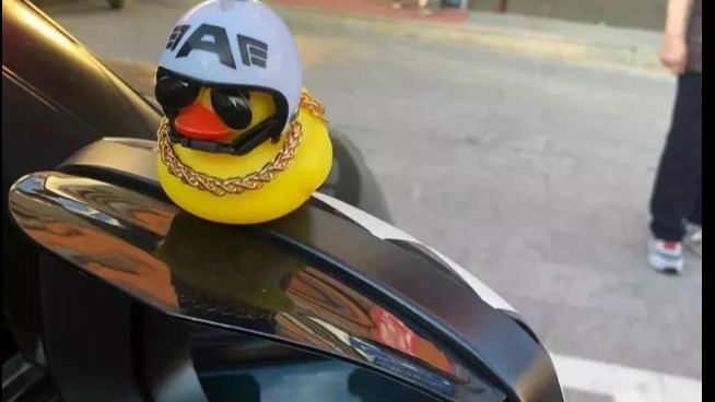 你的车上还有这些东西？赶紧清理吧