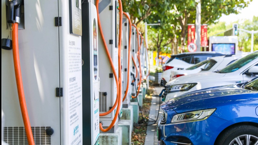 造车新势力6月销量：“蔚小理”格局已破 黑马成群居动物