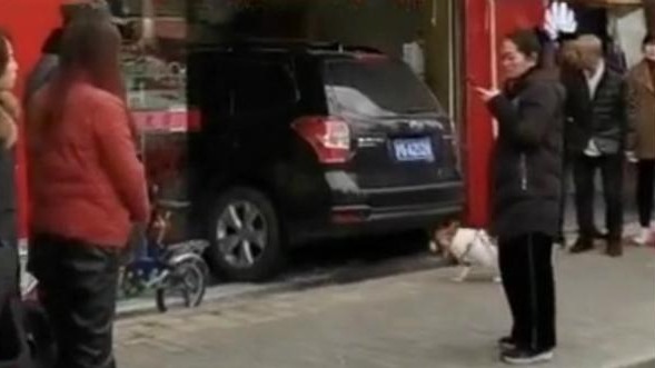 昨天纪翟路一轿车撞坏护栏冲进沿街百货店