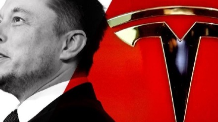 特斯拉影响力报告：推特官号去年涨粉53%