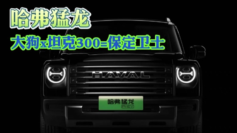 哈弗猛龙：大狗x坦克300=保定卫士