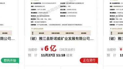 宁德时代欲接盘斯诺威？天价锂矿何去何从