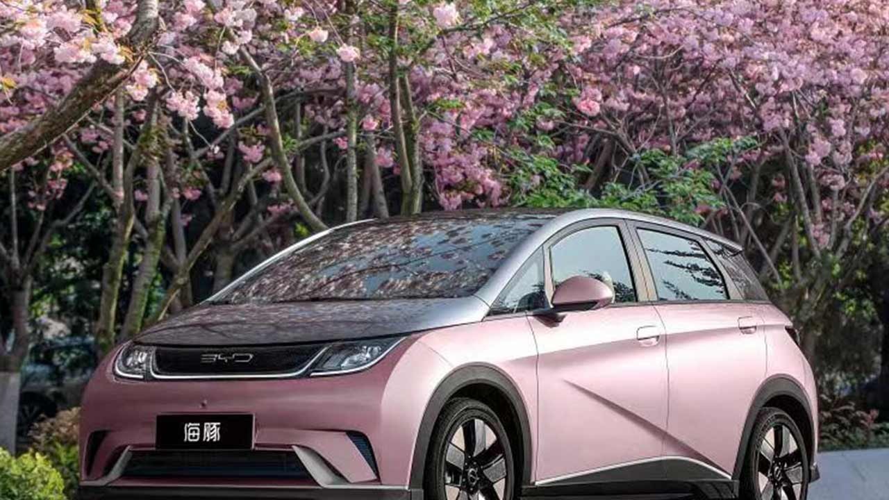 比亚迪海豚车主在高速路上睡觉，辅助驾驶科普任重道远