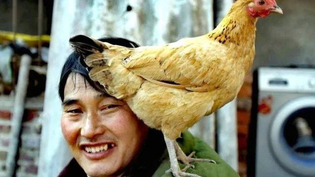 大衣哥为儿子操碎了心，动员媒婆给小伟说对象，事成豪车相送