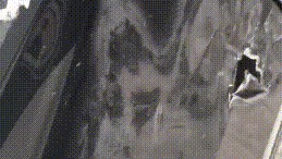 「转发」喝了？逃逸？在哈尔滨谁认识这人？