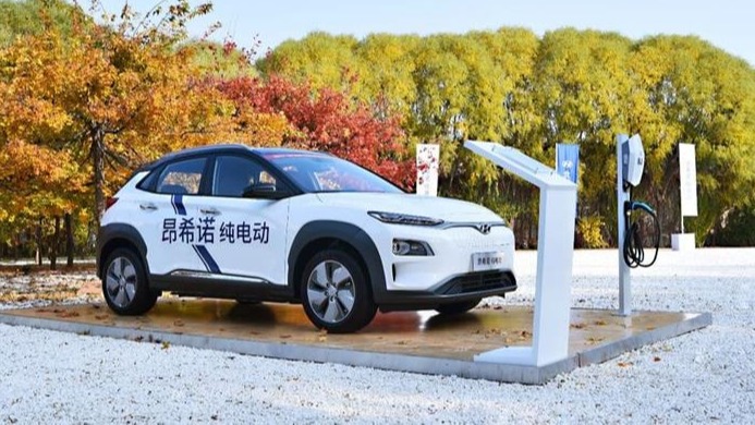 要想成为新能源领域独角兽，三电系统才是杀手锏