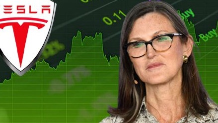 “木头姐”：特斯拉是高增长科技股，自动驾驶的毛利率超过80%