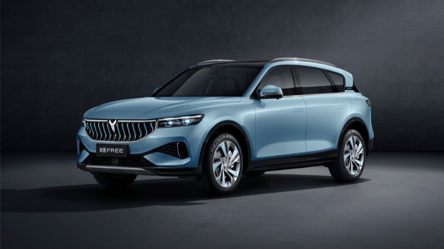 吹捧不起火的岚图FREE还是“火”了  销量却还冷冰冰