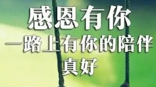 【内含福利】年度粉丝留言曝光 与道哥说车热烈向前共赴2024