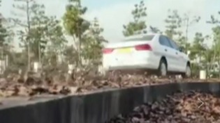 老司机驾校飙车 原来教练车也能这么开