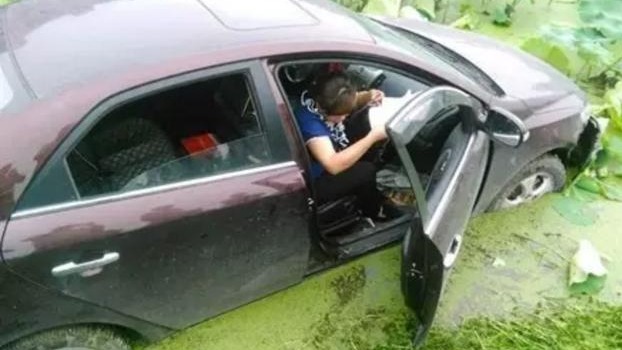 驾驶员刚离开几分钟，轿车竟然被狗“开”进了池塘……