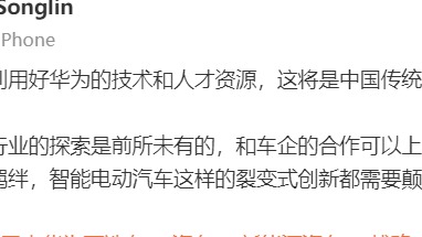 威马梅松林：不充分利用华为的技术，将是中国汽车行业转型的重大战略失误