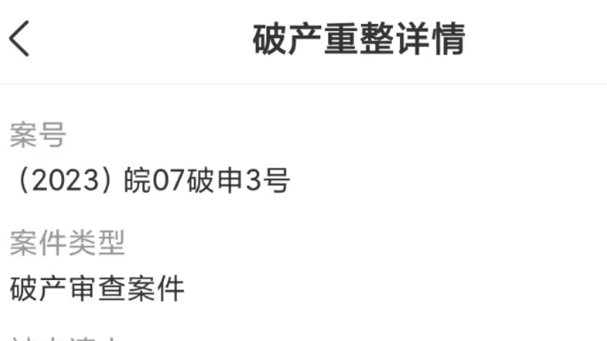 安徽奇点汽车公司被申请破产审查