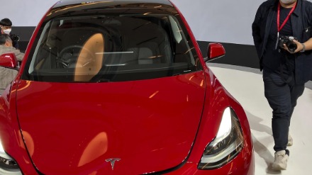 朱晓彤成仅次于马斯克的特斯拉“二号人物”？中国市场业绩表现亮