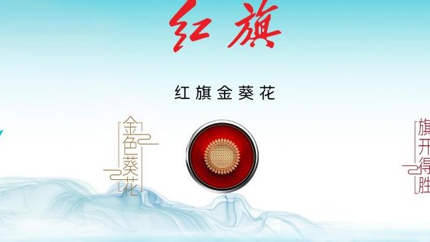 一汽南下，意欲何为？