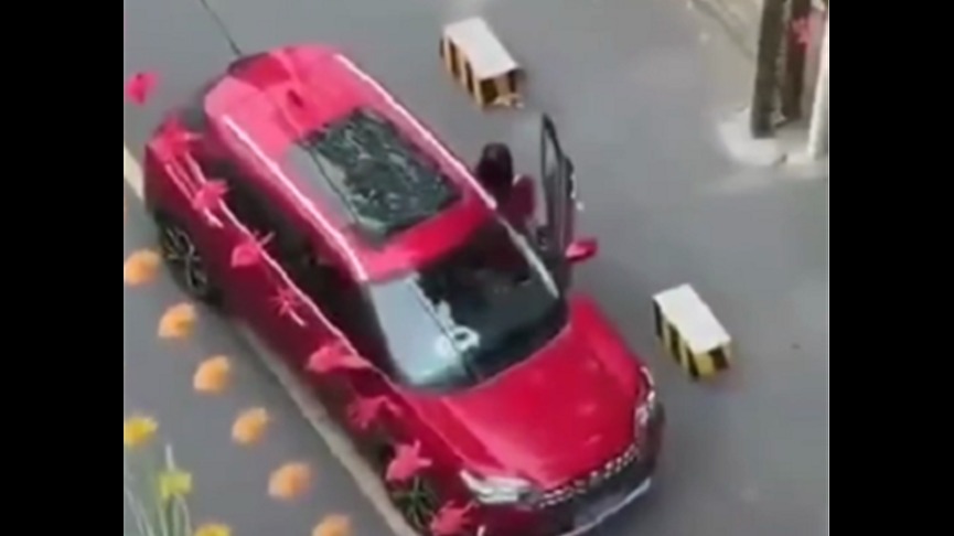 路怒女司机！倒车时他车挡住，下车直接拿锤子砸车理论！