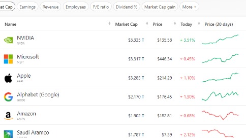 英伟达成为全球市值最高上市公司