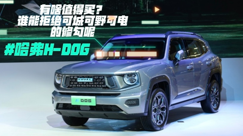 哈弗H- DOG有啥值得买？谁能拒绝可城可野可电的修勾呢