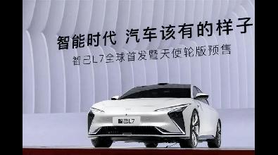 饼画太大难收场 智己汽车遭用户反噬