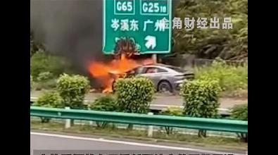 燃烧的比亚迪 法院副庭长命丧火海