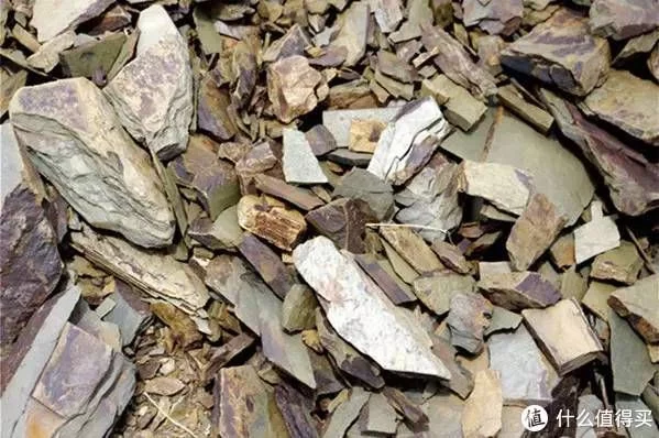 雷司令的“汽油味”，原来是因为它！