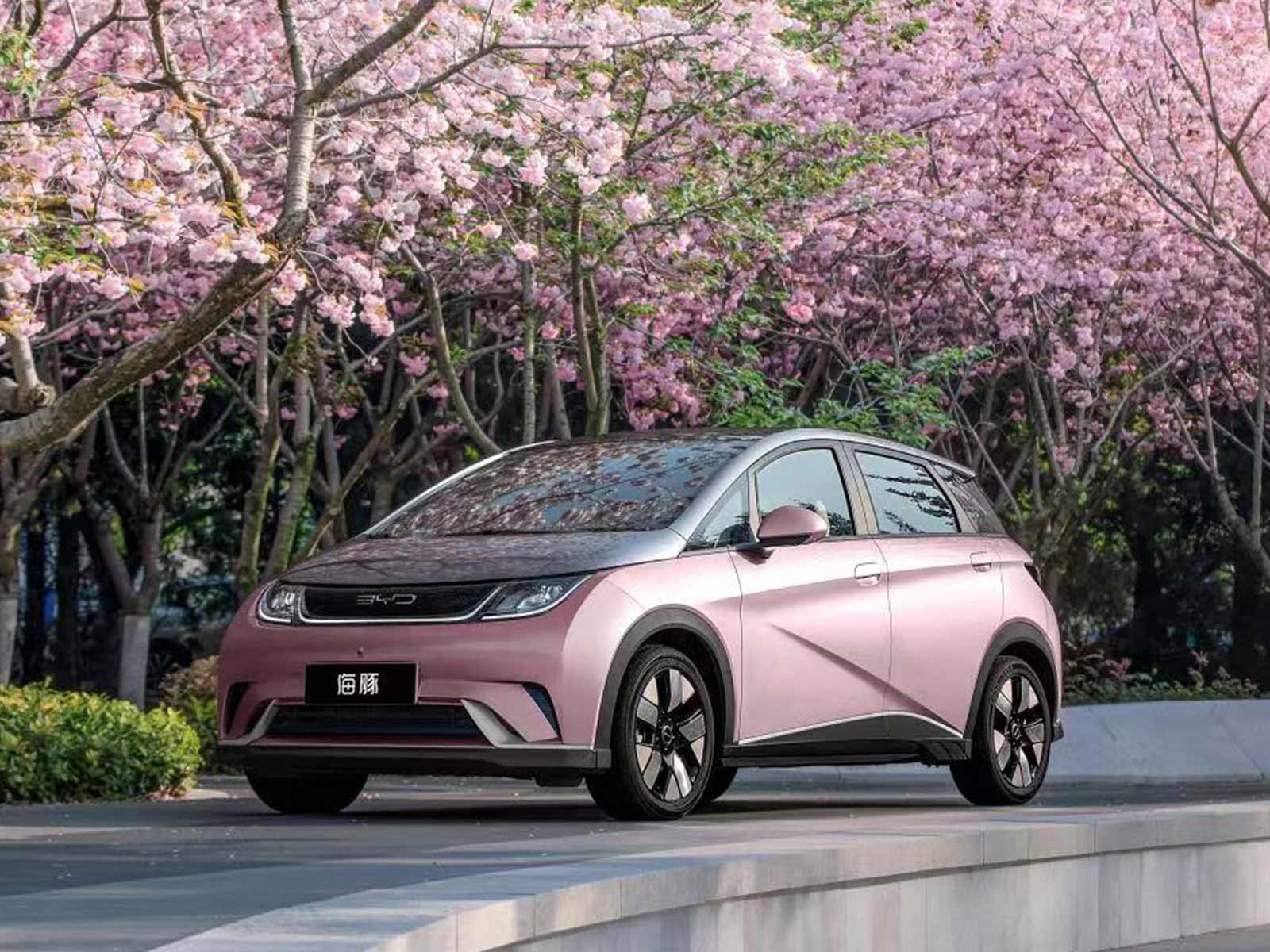 比亞迪海豚車主在高速路上睡覺，輔助駕駛科普任重道遠(yuǎn)