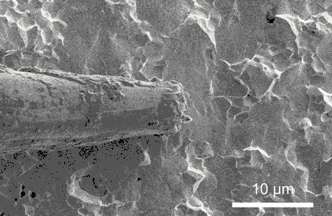 斯坦福大学发现锂金属电池短路的秘密