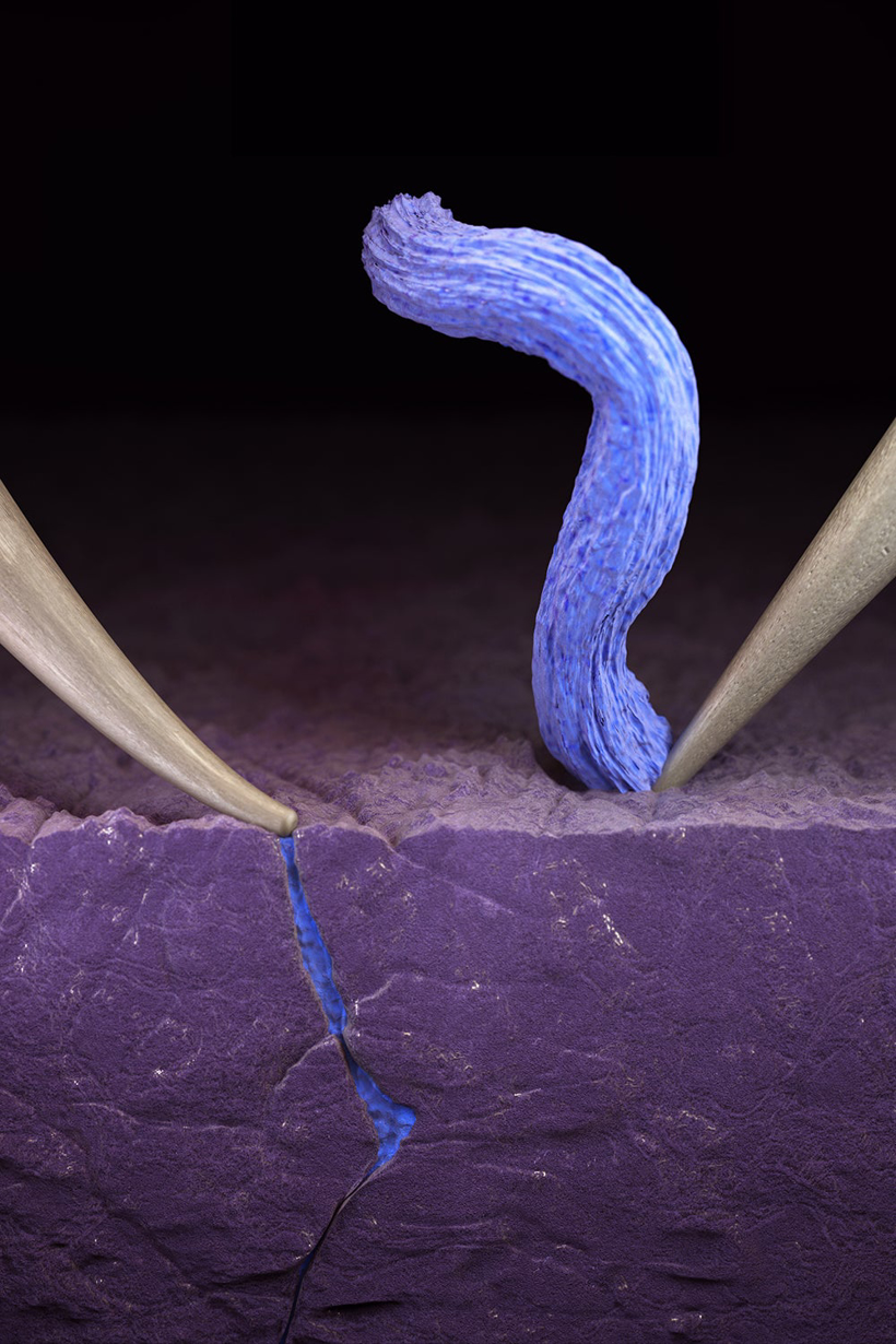 斯坦福大学发现锂金属电池短路的秘密