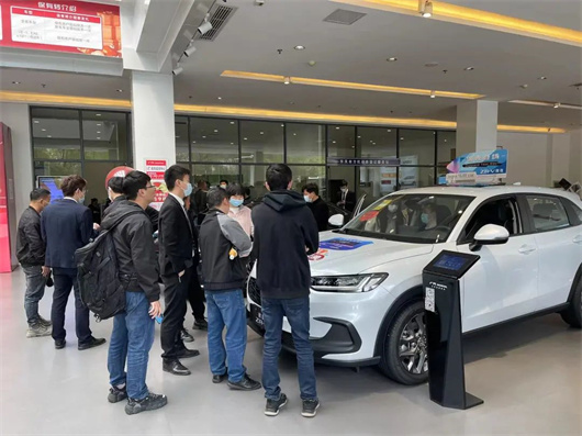 价格战一线调查：武汉的疯狂，车企的自救