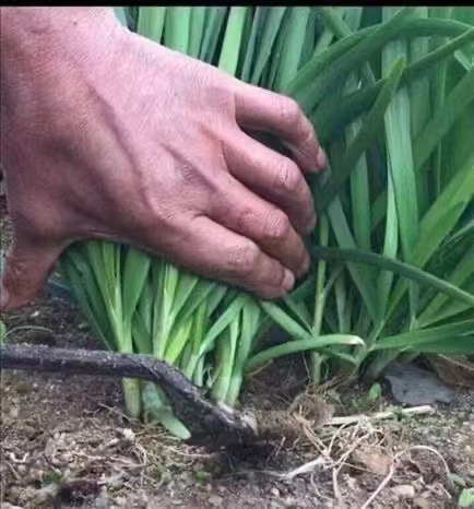 2023年车企市值：第一无悬念，理想“窜到”第二