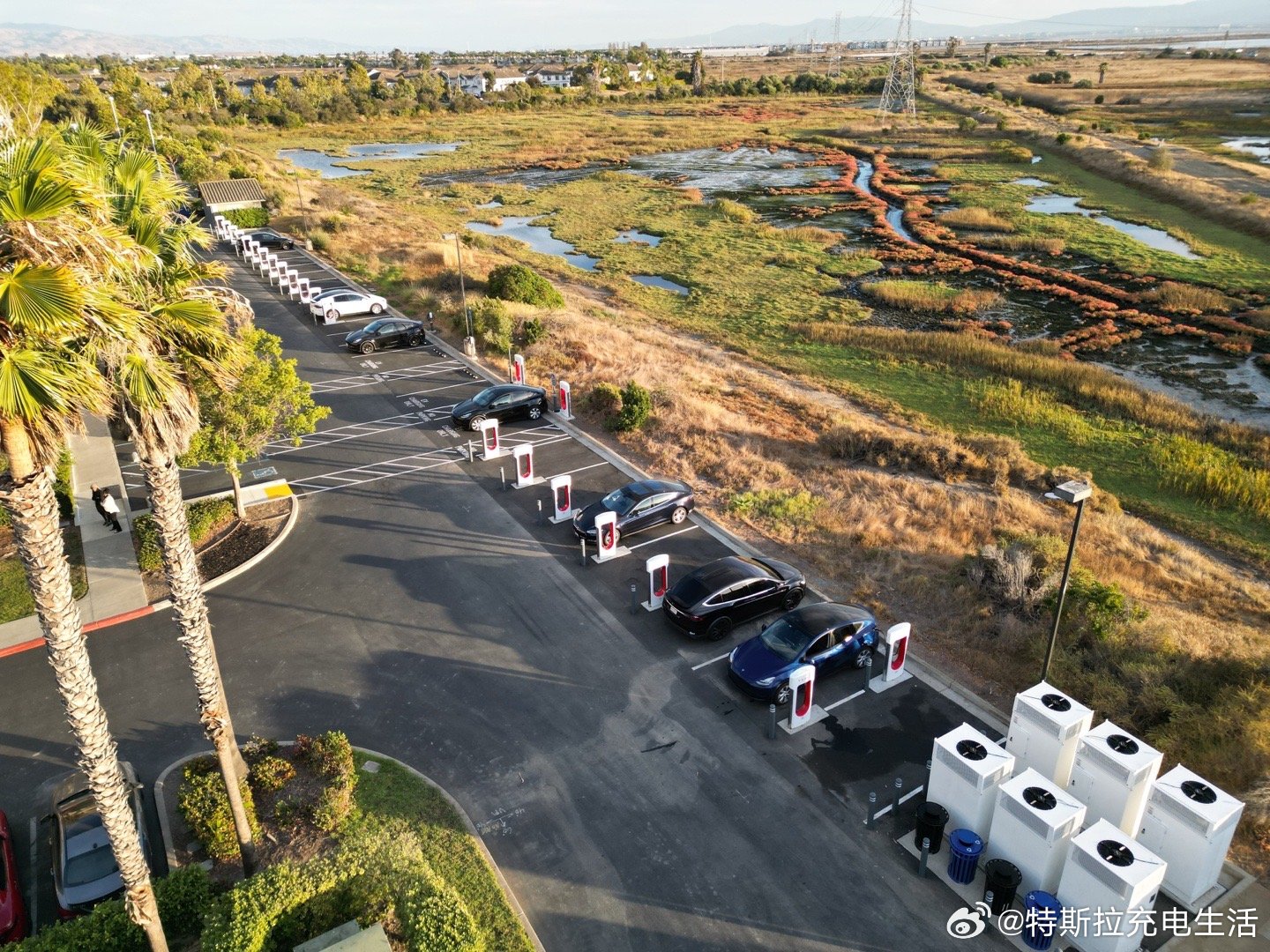 充换电大战，非要“你死我活”？ |请回答2024