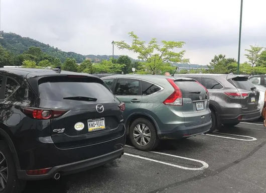 丰田登顶全球销冠之际，家被偷了